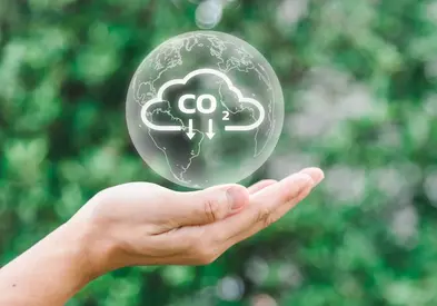 Nous compensons nos émissions carbonne pour maintenir vos objectifs et vos engagements écologiques